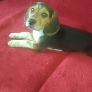 Meet your Posher, Marie